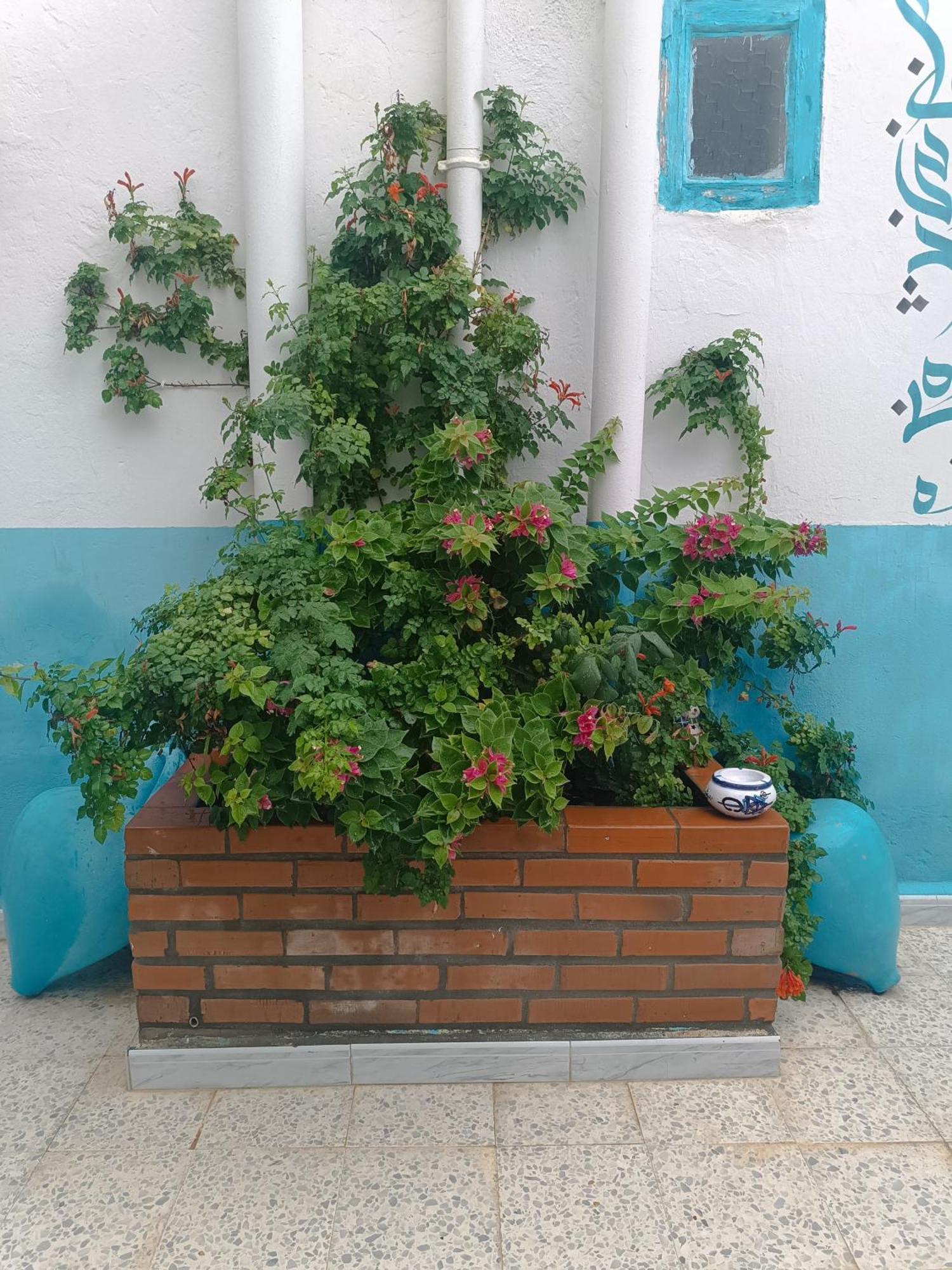 Dar Hkaiem Bed & Breakfast Sousse Exterior photo